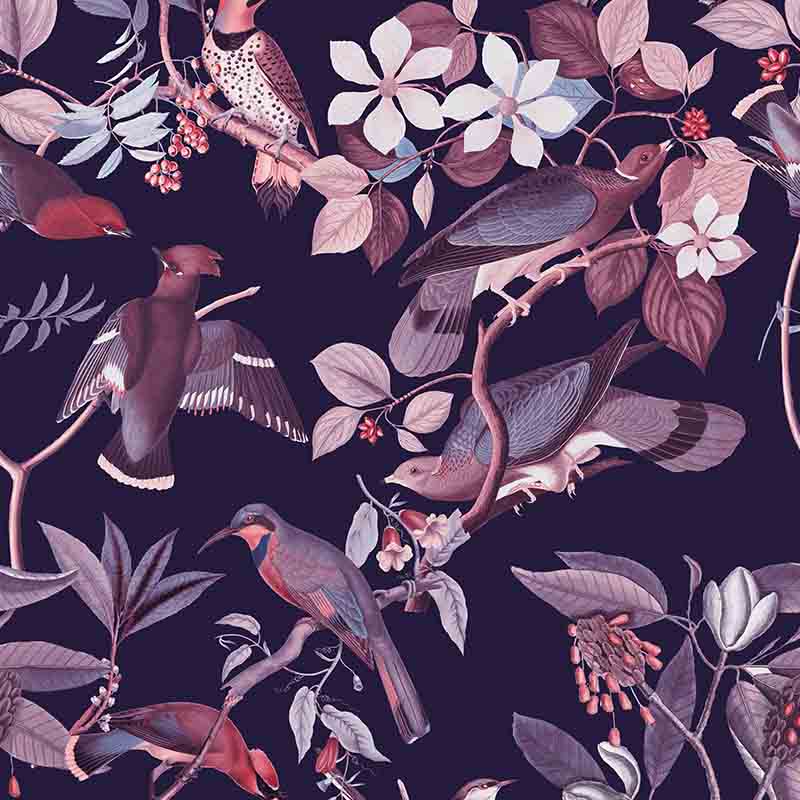 Andrea-Haas_800x800_Vintage-Birds_Midnight.jpg