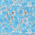 Anemone-Aqua.jpg