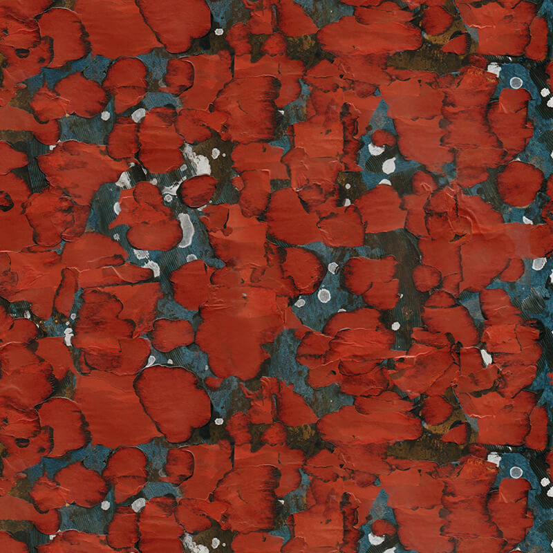 Anemone-Scarlett.jpg