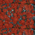 Anemone-Scarlett.jpg