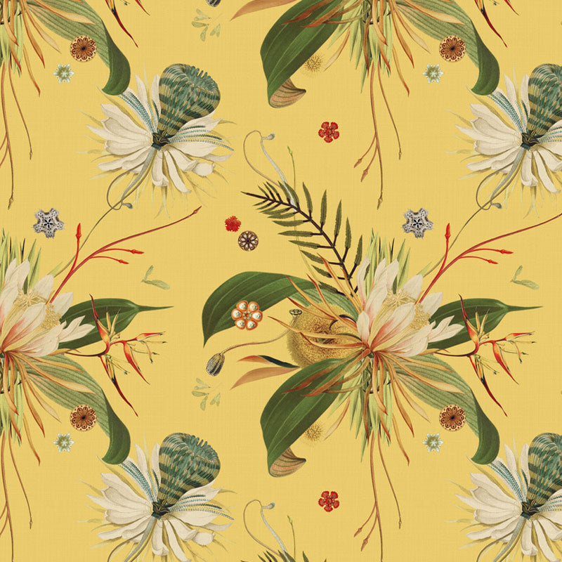 Antheia_canary_s_crop2.jpg