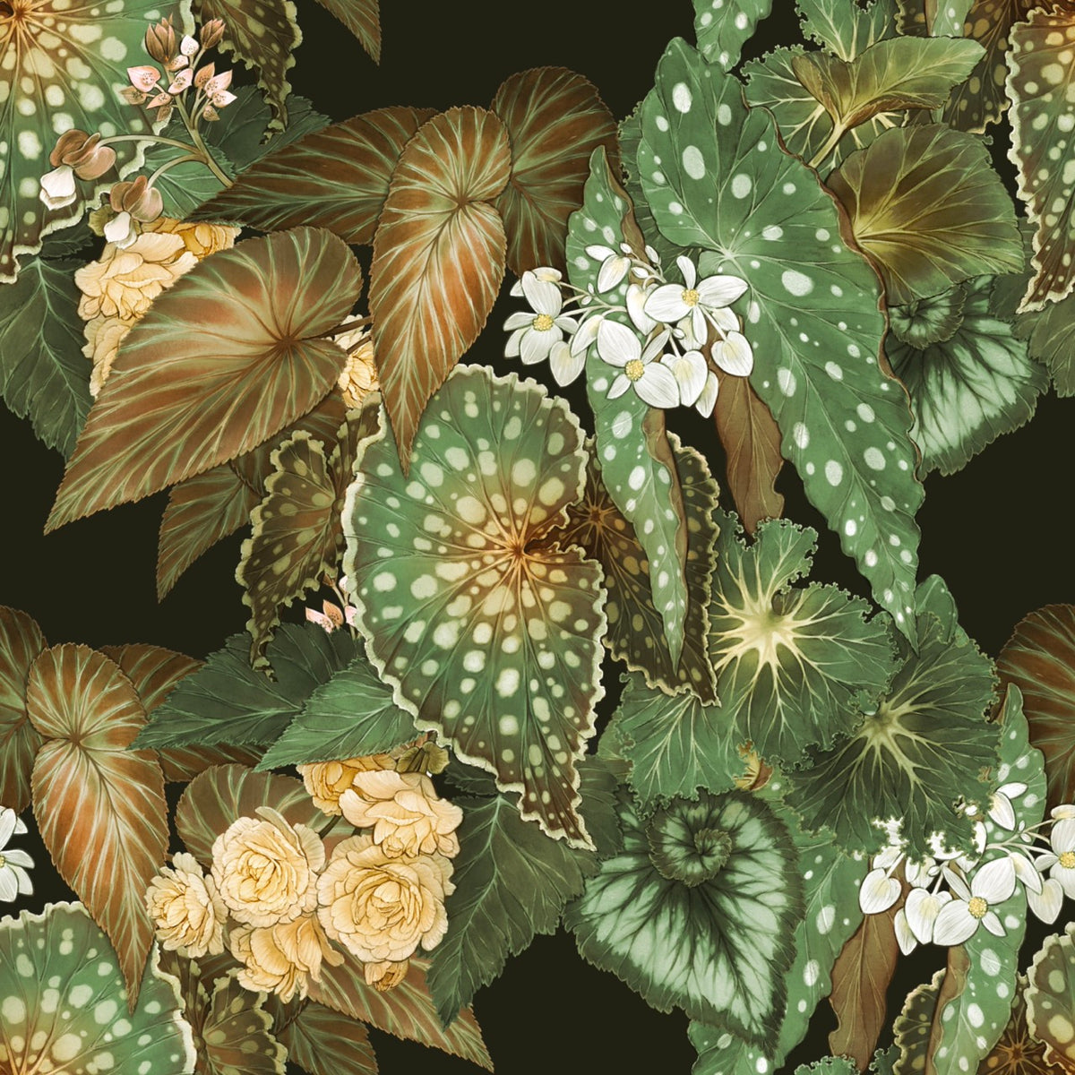 Begonia – Earthy Green Wallpaper