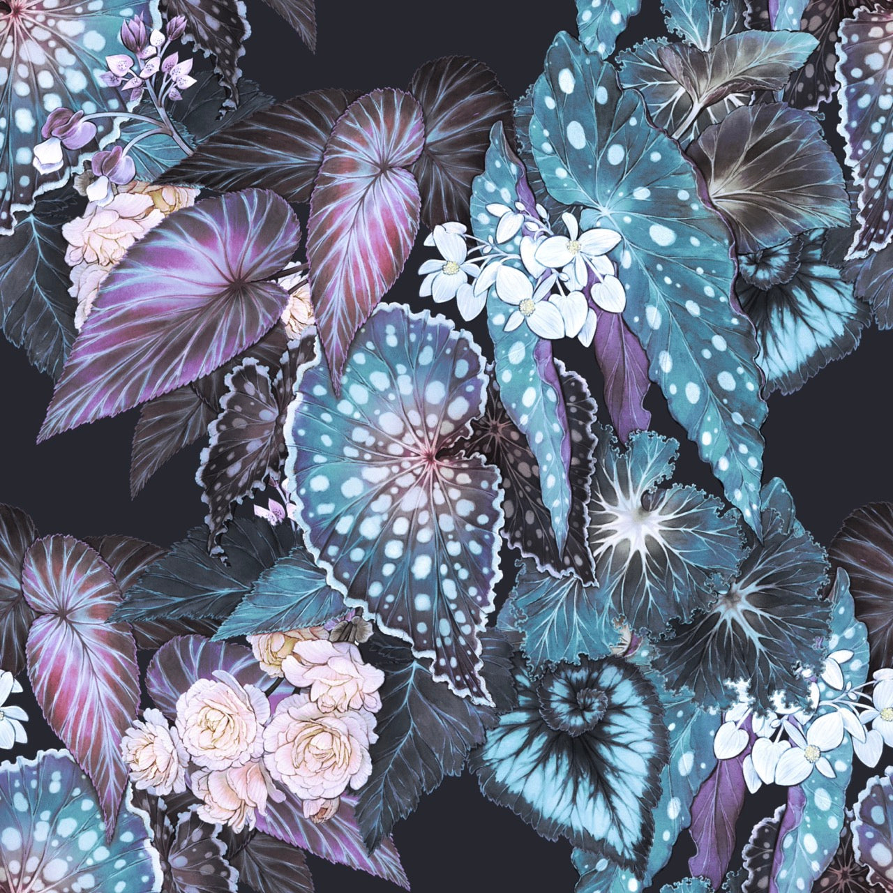 Begonia – Evening Wallpaper