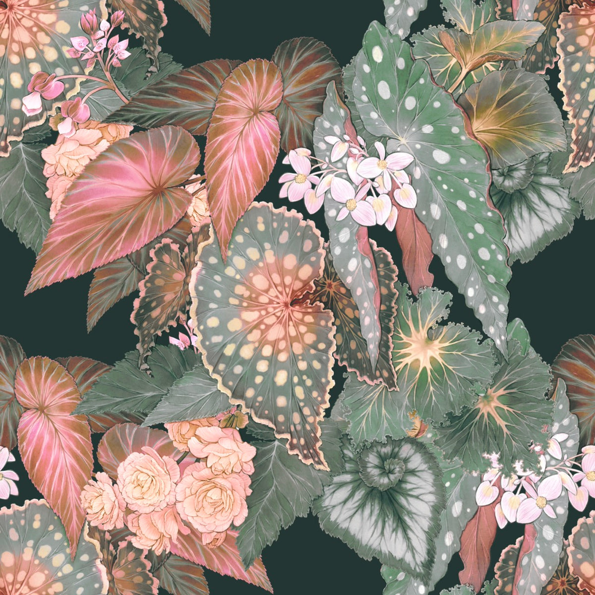 Begonia – Peachy Green Wallpaper