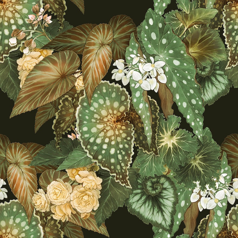 Begonias_EarthyGreen.jpg