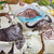 Big 5 color 5.jpg
