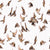 Birds-of-a-feather-White-Clinton-Friedman-e1468589579323.jpg