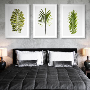 Bloom 2 Art Print