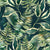 Blush-Tropics-800.jpg