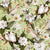 BlushPowderPinkVintageParrotTropicalJungle_GreenWildernessUtaNaumann.jpg