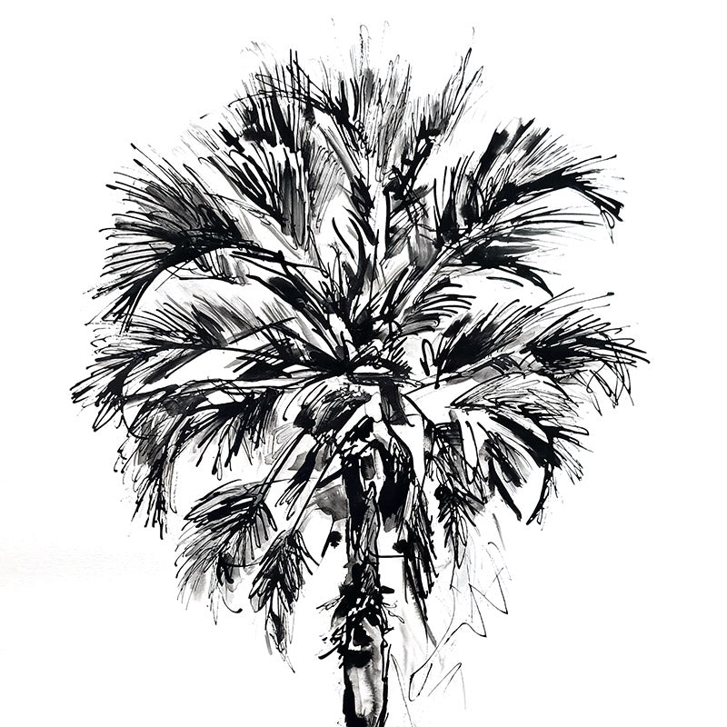 Borassus Palm Wallpaper