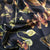 Bush Baby - jet black 4.jpg