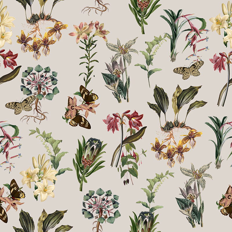 Butterfly Flora Wallpaper