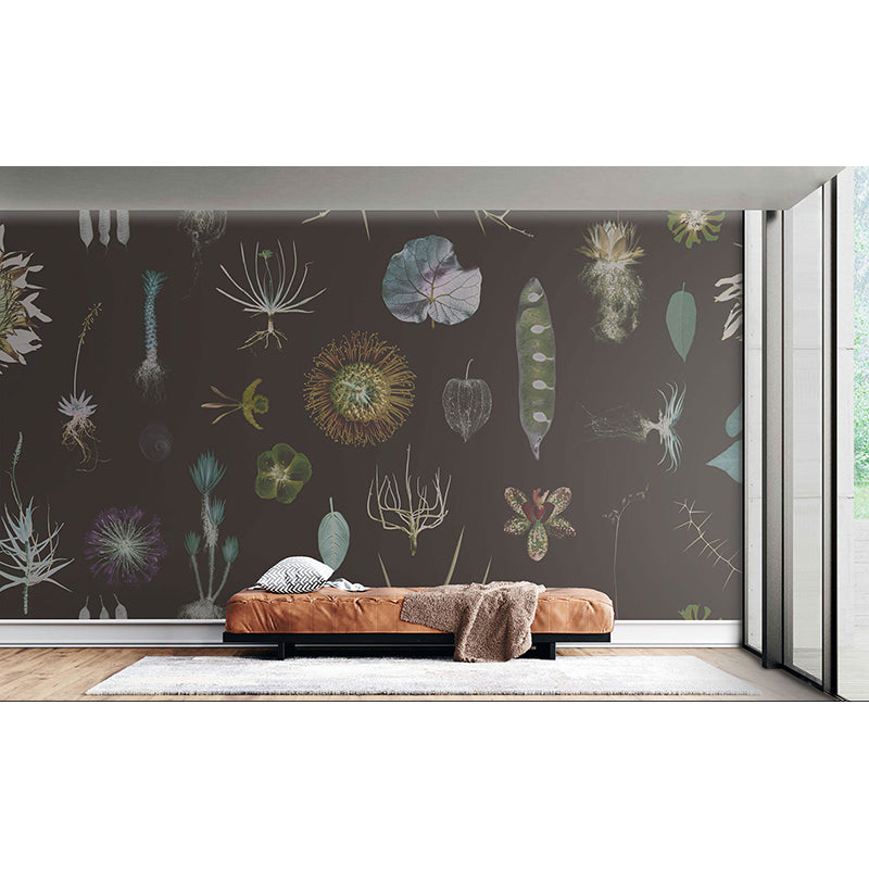 CabinetofNaturalCuriosities_brown_Insitu.jpg