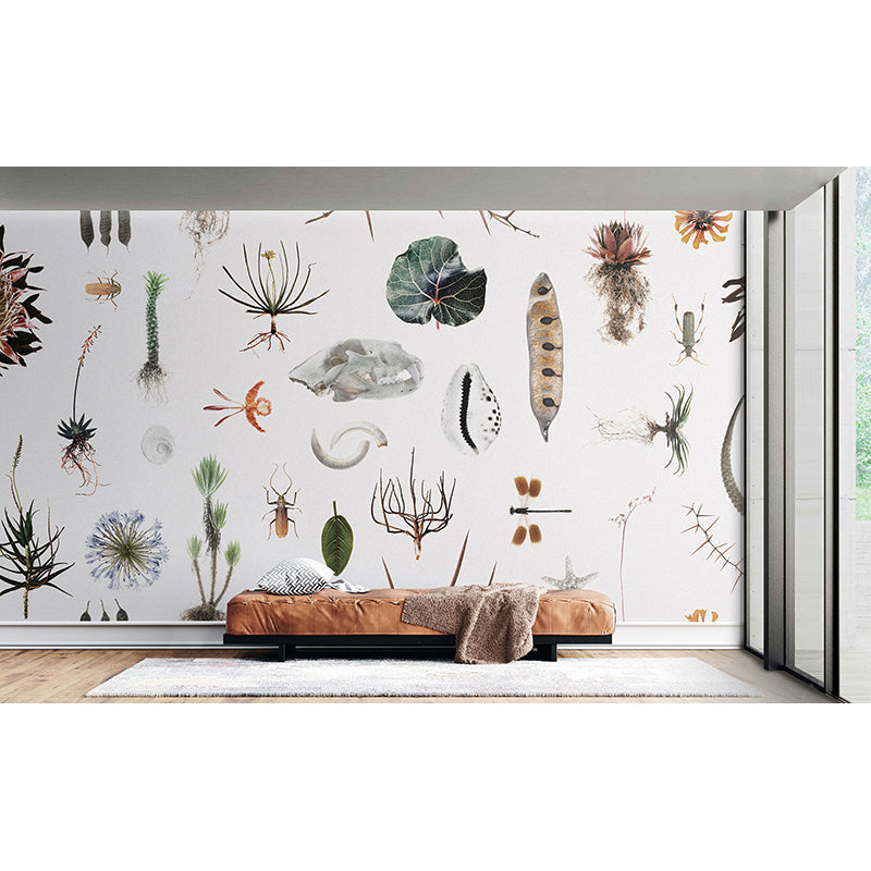 CabinetofNaturalCuriosities_colour_Insitu.jpg