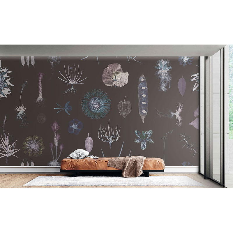 CabinetofNaturalCuriosities_neo_Insitu.jpg