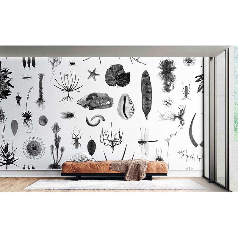 CabinetofNaturalCuriosities_white_Insitu.jpg