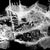 Caitlin-Mkhasibe_ship-sonar-800x800-1.jpg