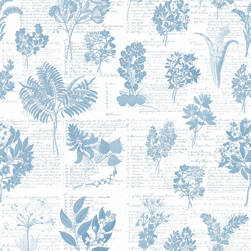Cape Flora Blauw Wallpaper