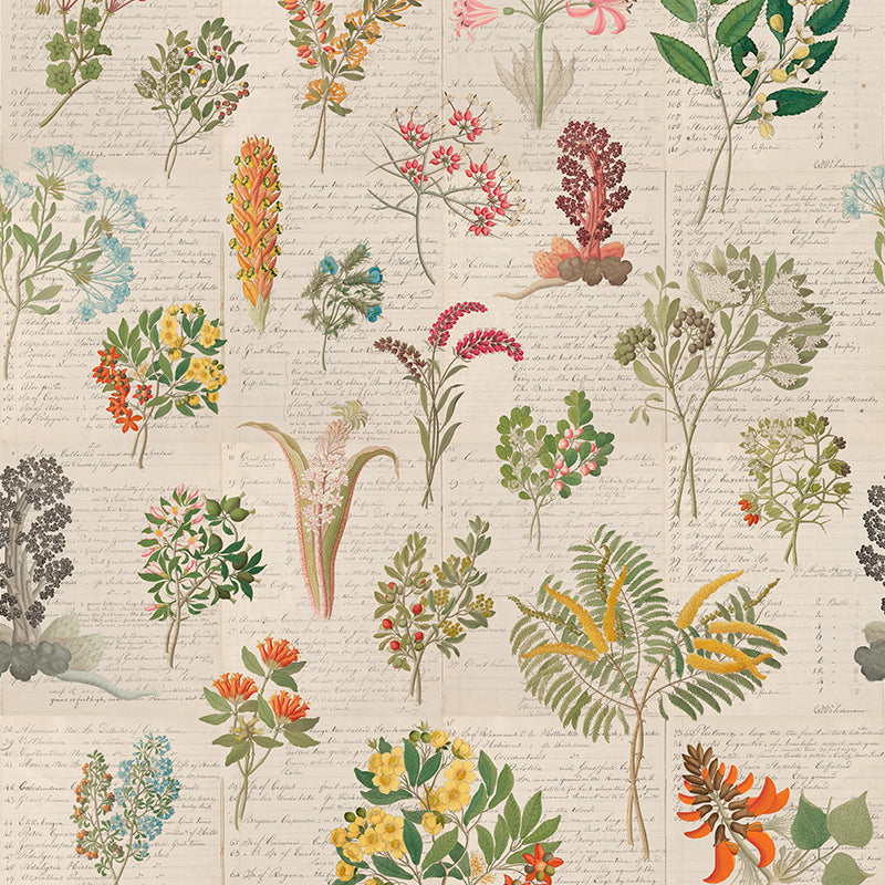 Cape Flora Paper Wallpaper