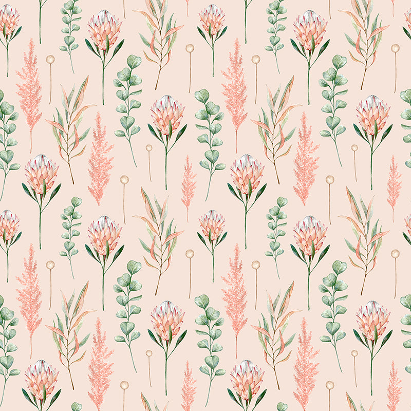 Cape Protea Soft Pink Wallpaper