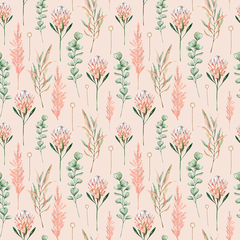 Cape Protea Soft Pink Wallpaper