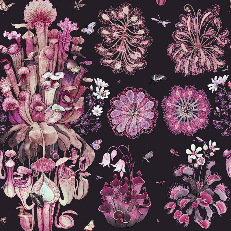 Carnivorous – Plum Wallpaper