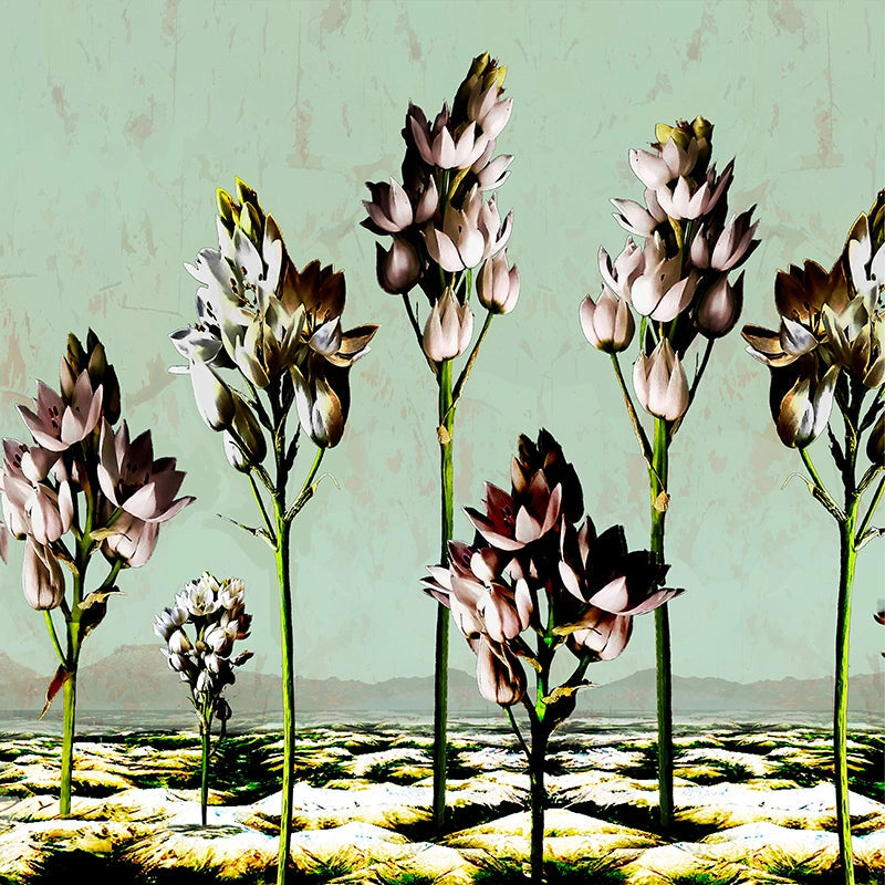 Chinkerinchee-in-a-Landscape-by-Louisa-Gerryts.webp