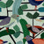 Chirp_flat-image.webp