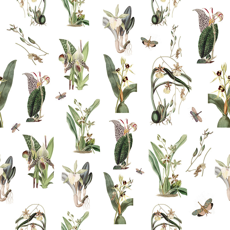 Classic Orchid Wallpaper