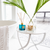 CliftonBeachLrgCandle&Diffuser.png