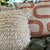 Coral insitu 3.jpg