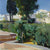 Corner_of_the_garder_at_Alcazar-768x768.jpg