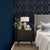 Cosmos_Twilight_byRobynValerie_Insitu800x800.jpg