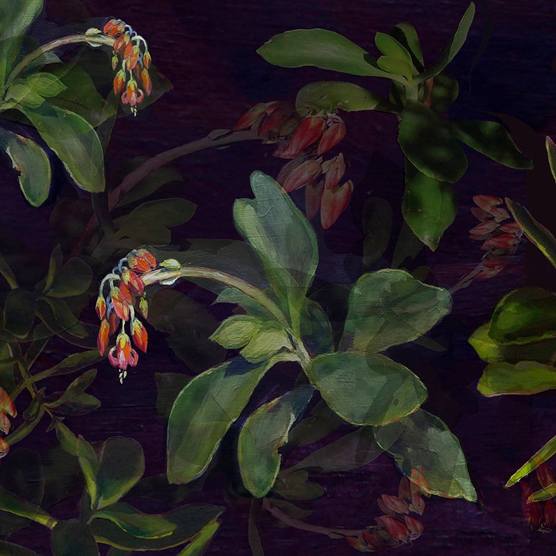 Cotyledon-Orbiculata-by-Louisa-Gerryts.webp
