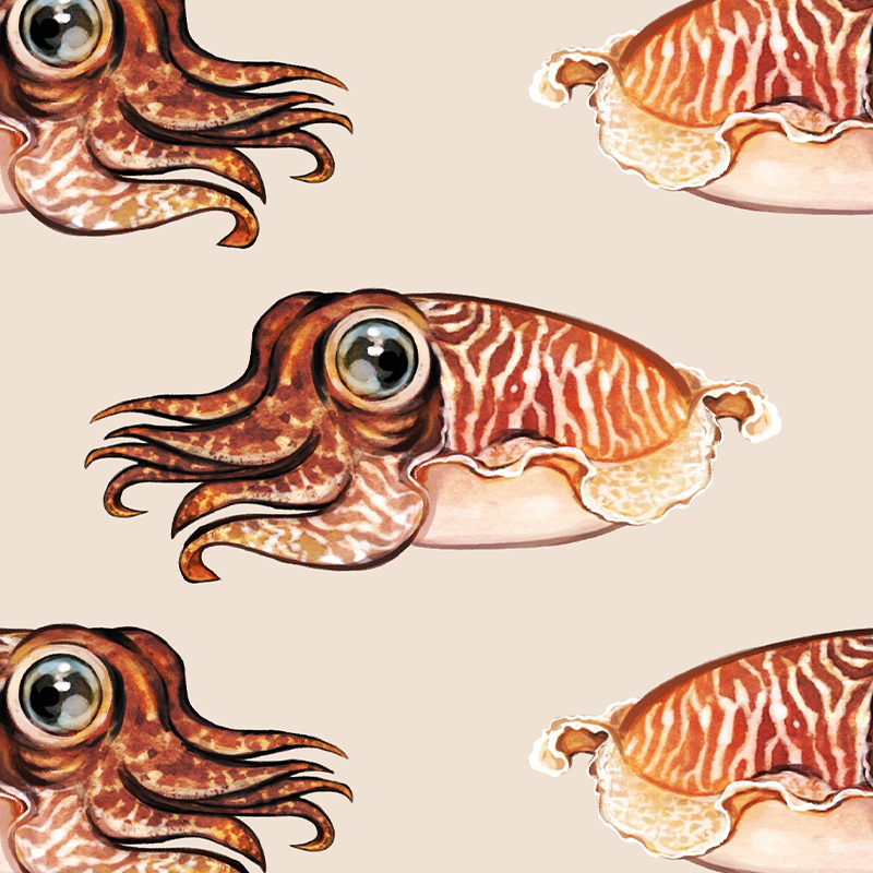 Cuttlefish – Sand Wallpaper