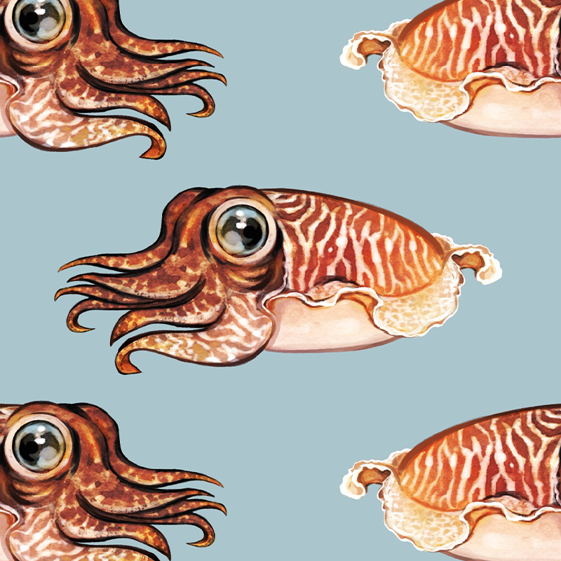Cuttlefish – Seafoam Wallpaper