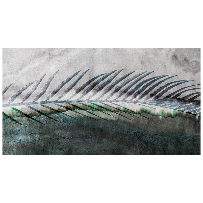 Cycas.jpg