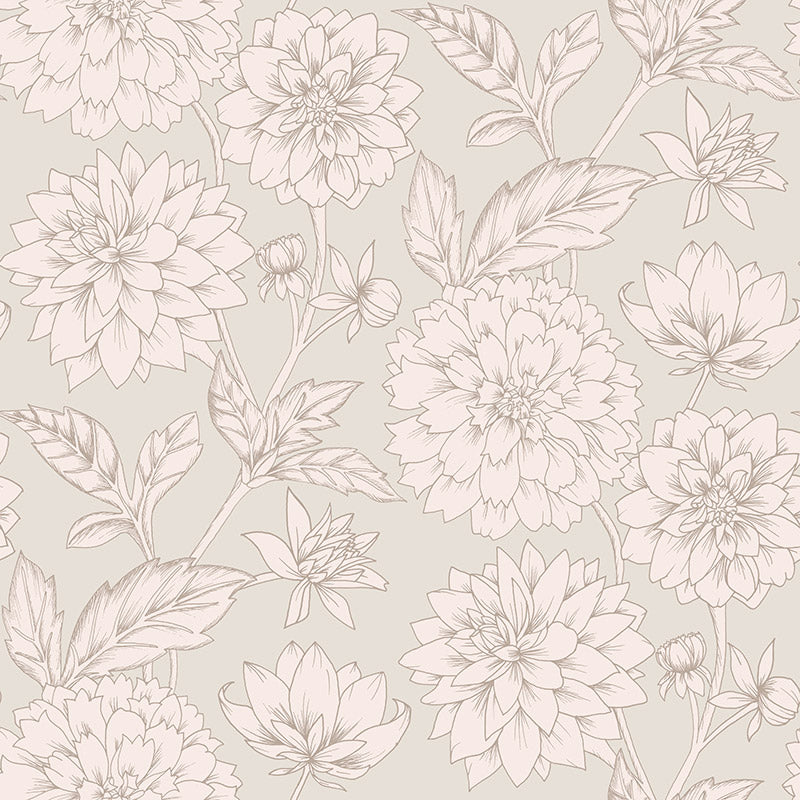Dahlia Blooms Pale Blush Wallpaper