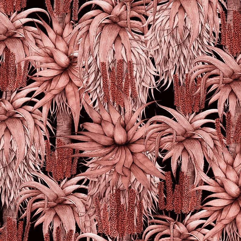 Dancing-Aloes-Red.jpg