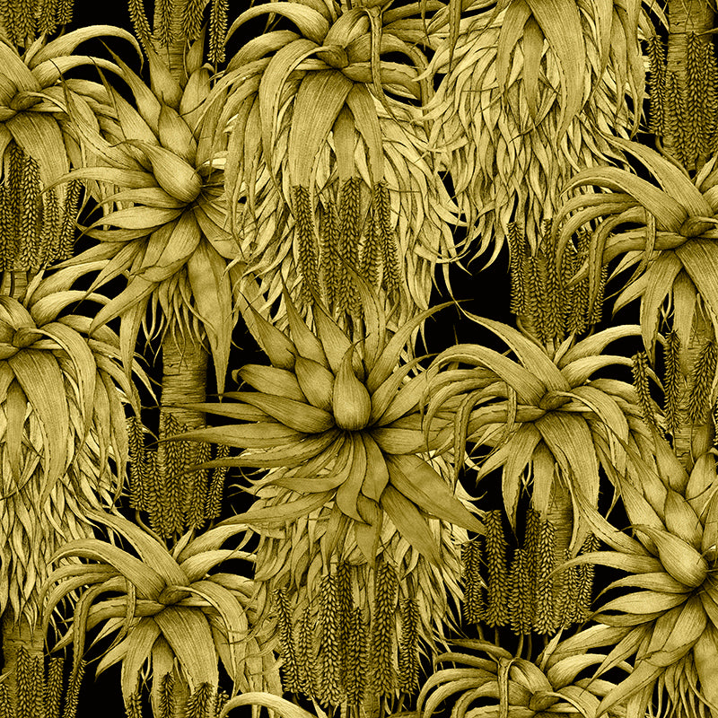 Dancing-Aloes-Yellow.jpg