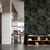 DeepForestNightbyFrancoMoz.jpg