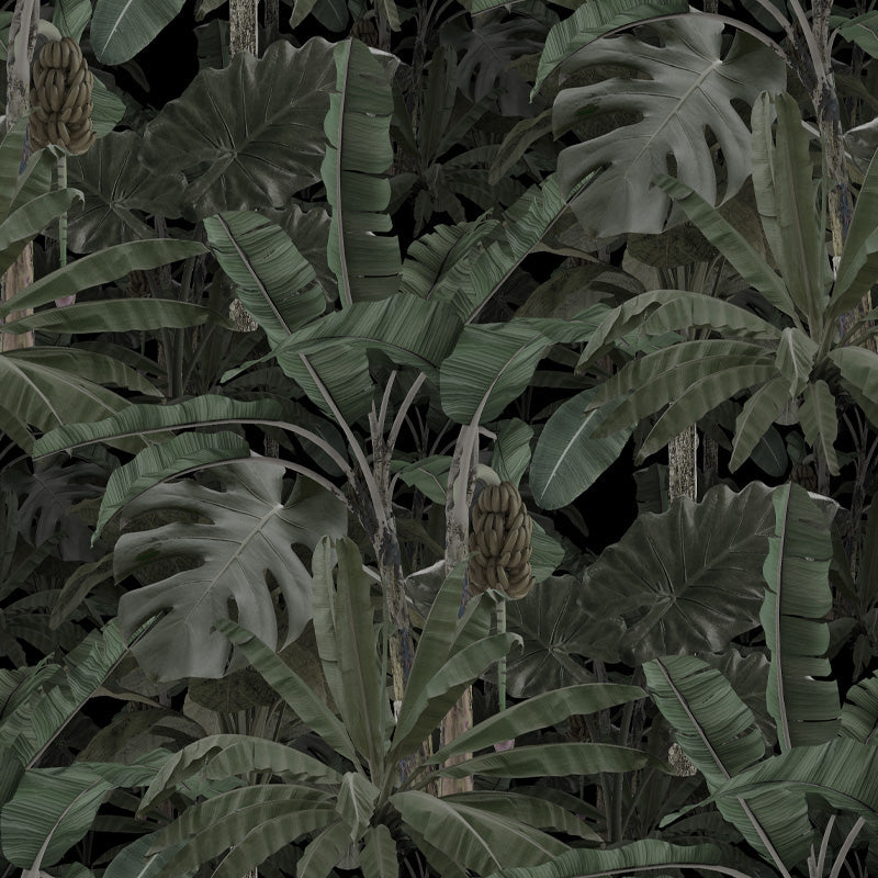 DeepForestNightbyFrancoMoz.jpg