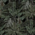 DeepForestNightbyFrancoMoz.jpg