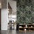 DeepForestShadowbyFrancoMoz_2b01c5f2-f782-4177-857e-067275da8170.jpg