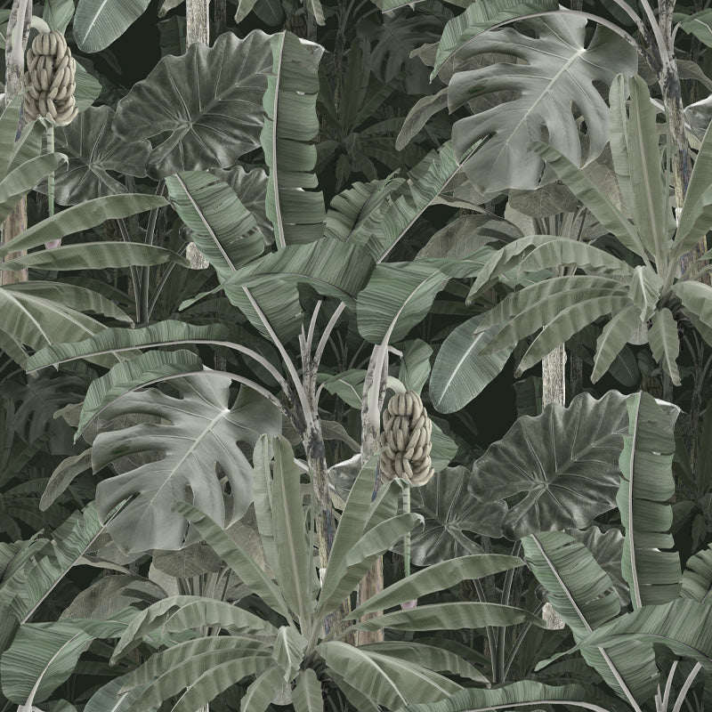 DeepForestShadowbyFrancoMoz_2b01c5f2-f782-4177-857e-067275da8170.jpg