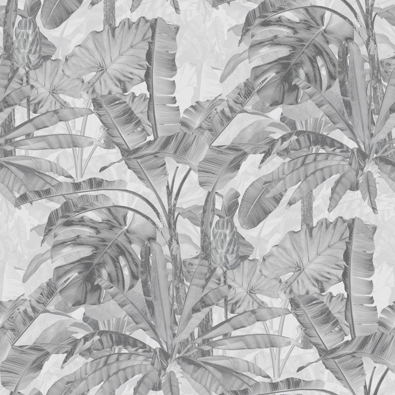 DeepForestSilverbyFrancoMoz.jpg