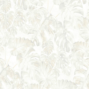 Delicious Leafy White Rainbow Wallpaper