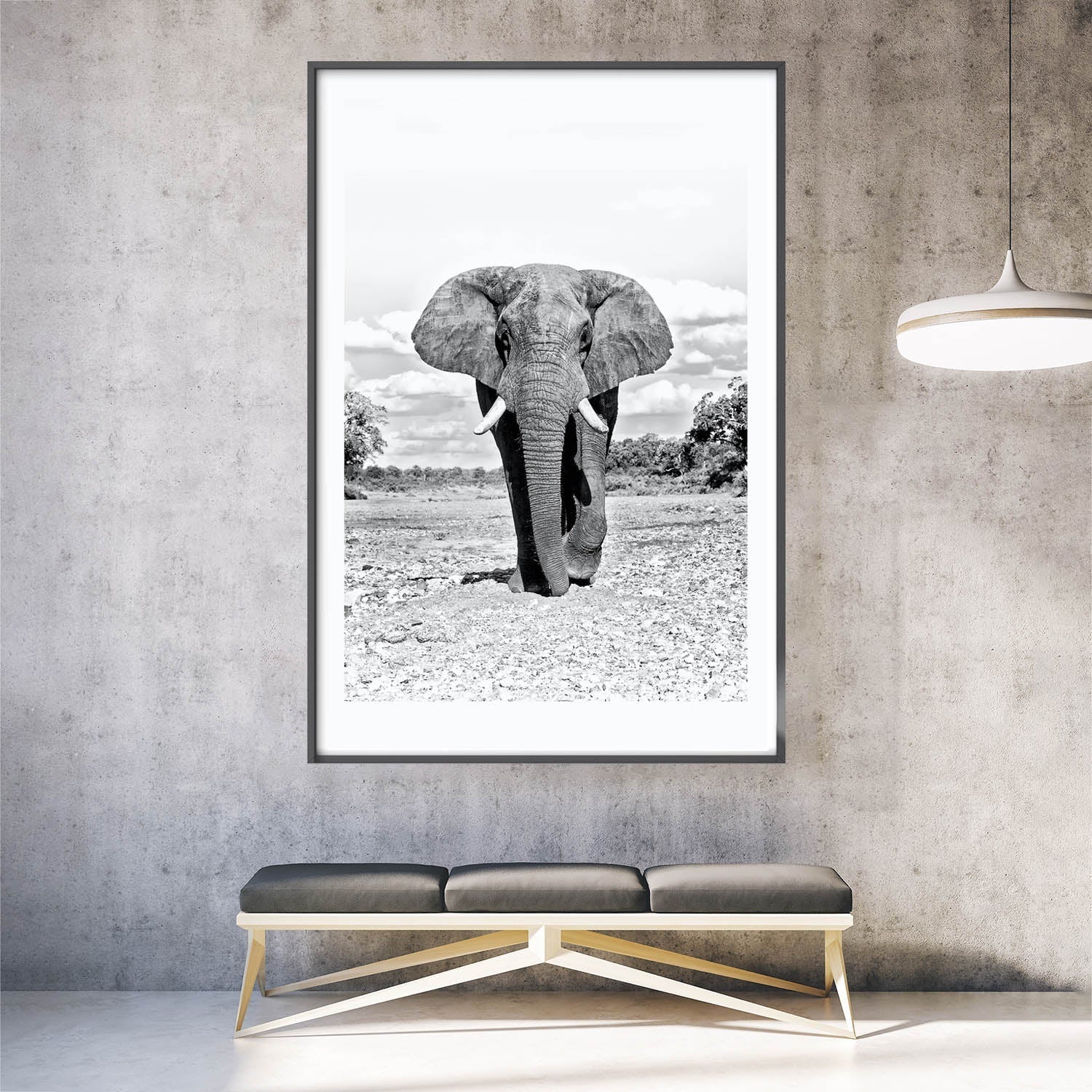 ElephantKrugerPark-insitu.jpg
