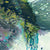 Enchanted-Seaweed_800x800_1b85c751-3478-4a05-8dbf-233f59af605c.jpg